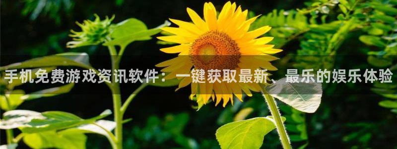 鼎点娱乐登录：手机免费游戏资讯软件：一键获取最新、最乐的娱乐