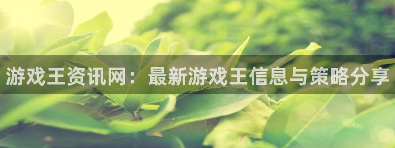 鼎点娱乐网址注册：游戏王资讯网：最新游戏王信息与策略分享