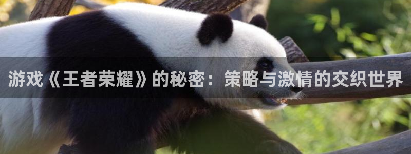 鼎点娱乐平台负责人：游戏《王者荣耀》的秘密：策略与激情的交织