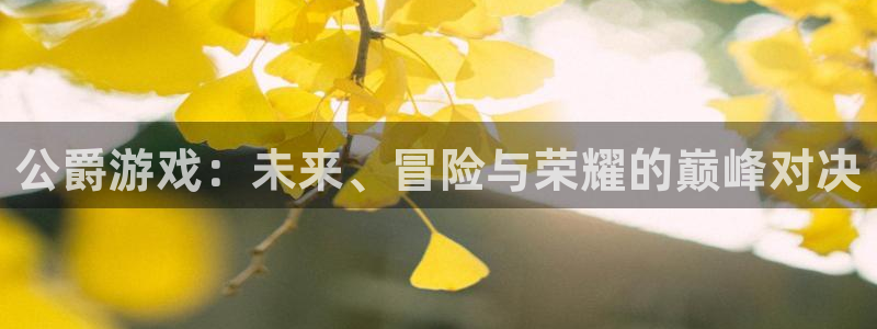 鼎点娱乐咨询：公爵游戏：未来、冒险与荣耀的巅峰对决