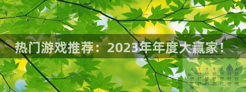 鼎点娱乐：热门游戏推荐：2023年年度大赢家！