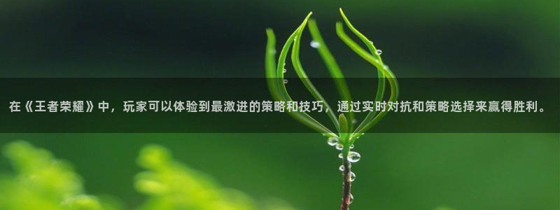 鼎点娱乐app：在《王者荣耀》中，玩家可以体验到最激进的策略