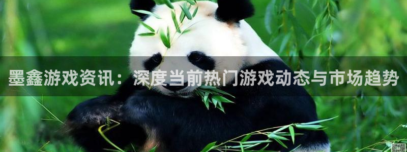 鼎点娱乐开户测速