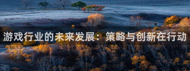 鼎点娱乐网页登录入口下载：游戏行业的未来发展：策略与创新在行