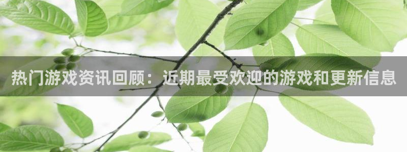 鼎点娱乐代理登陆：热门游戏资讯回顾：近期最受欢迎的游戏和更新