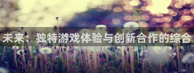 鼎点娱乐平台官方网站：未来：独特游戏体验与创新合作的综合