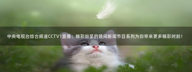 极速体育直播在线播放：中央电视台综合频道CCTV1直播：精彩纷呈的晚间新闻节目系列为你带来更多精彩时刻！
