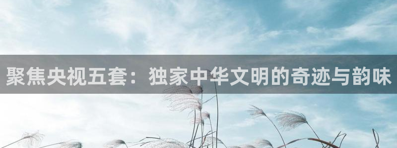 极速体育nba 直播app：聚焦央视五套：独家中华文明的奇迹与韵味