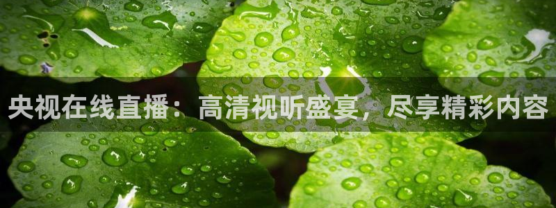 手机在线直播nba极速体育：央视在线直播：高清视听盛宴，尽享精彩内容